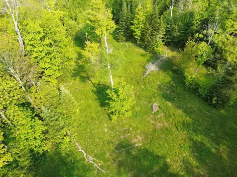 48 Alberts Lane Warren VT 05674