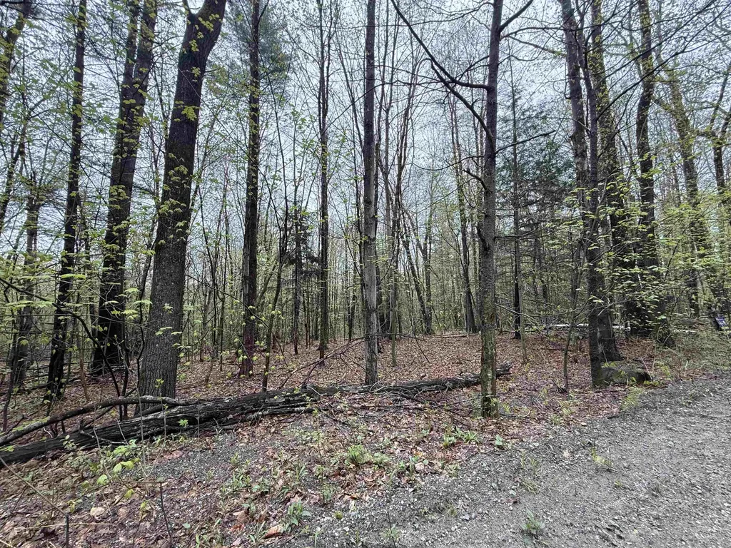 251 Phillips Hill Road Halifax VT 05358