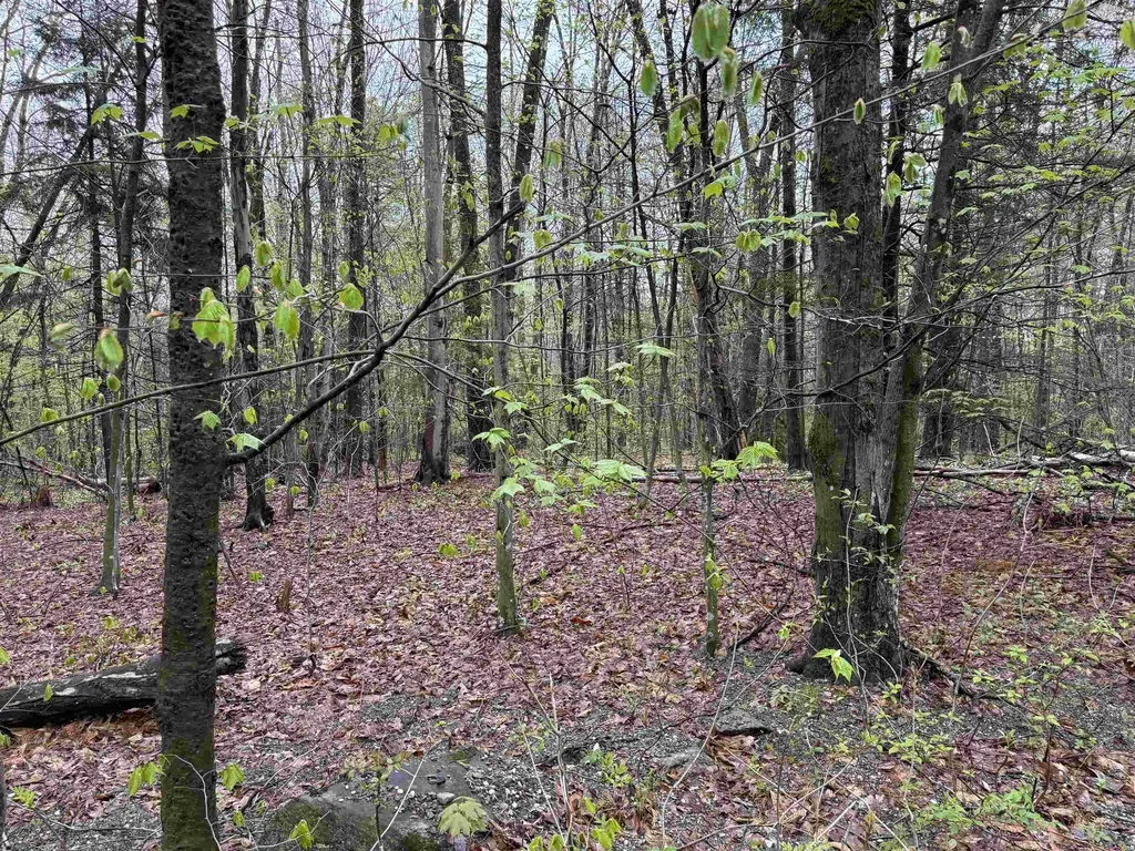 251 Phillips Hill Road Halifax VT 05358