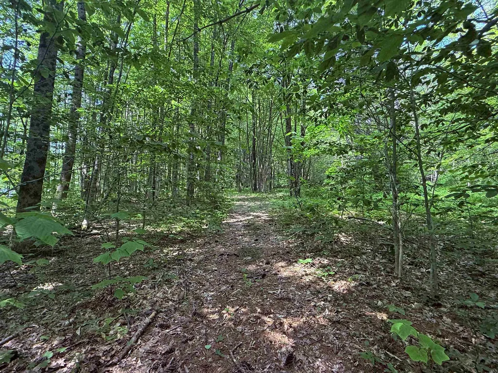 251 Phillips Hill Road Halifax VT 05358