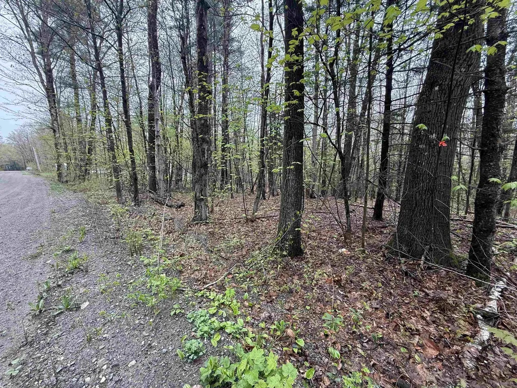 251 Phillips Hill Road Halifax VT 05358