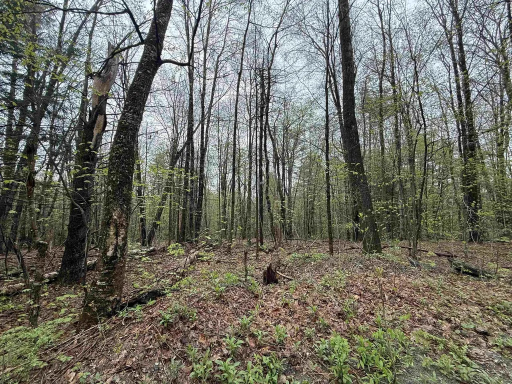 251 Phillips Hill Road Halifax VT 05358