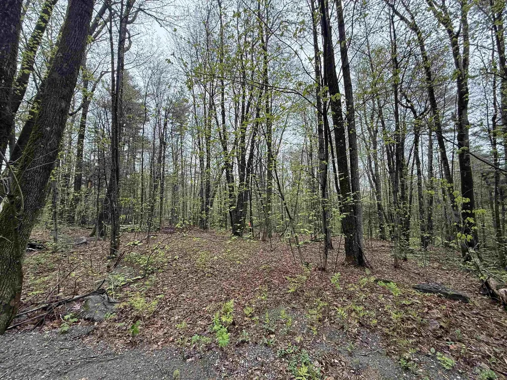 251 Phillips Hill Road Halifax VT 05358