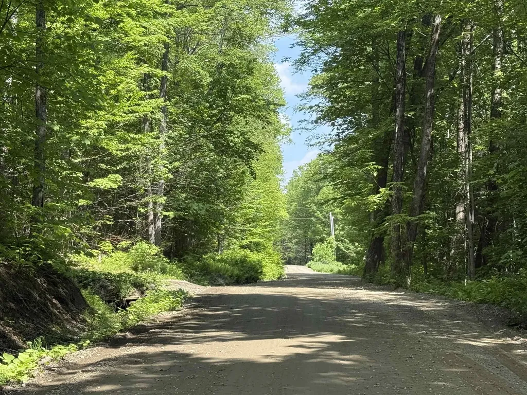 251 Phillips Hill Road Halifax VT 05358