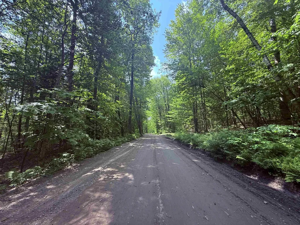 251 Phillips Hill Road Halifax VT 05358