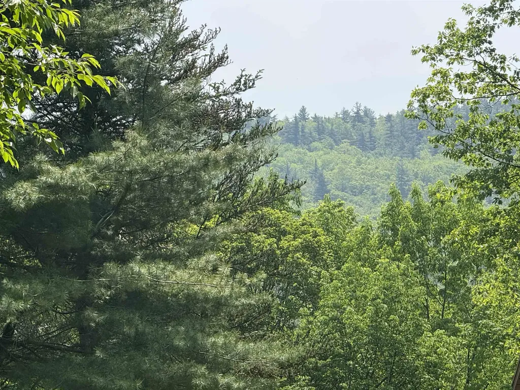 251 Phillips Hill Road Halifax VT 05358