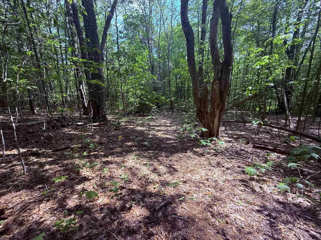 251 Phillips Hill Road Halifax VT 05358