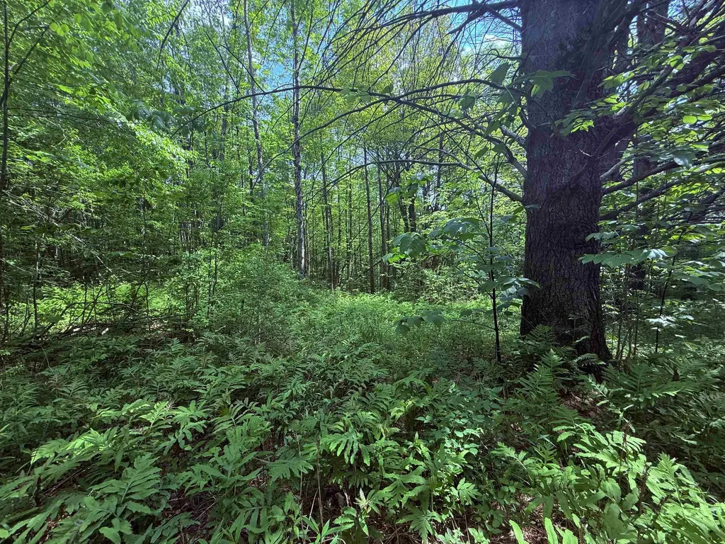 251 Phillips Hill Road Halifax VT 05358