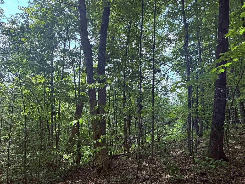 251 Phillips Hill Road Halifax VT 05358