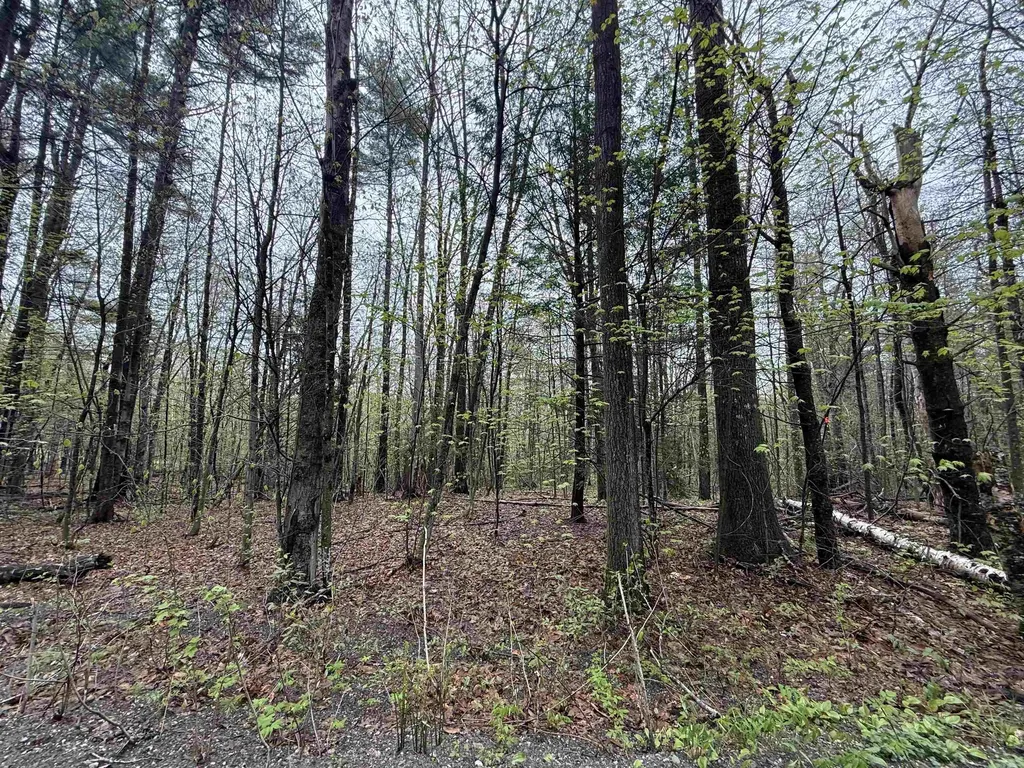 251 Phillips Hill Road Halifax VT 05358