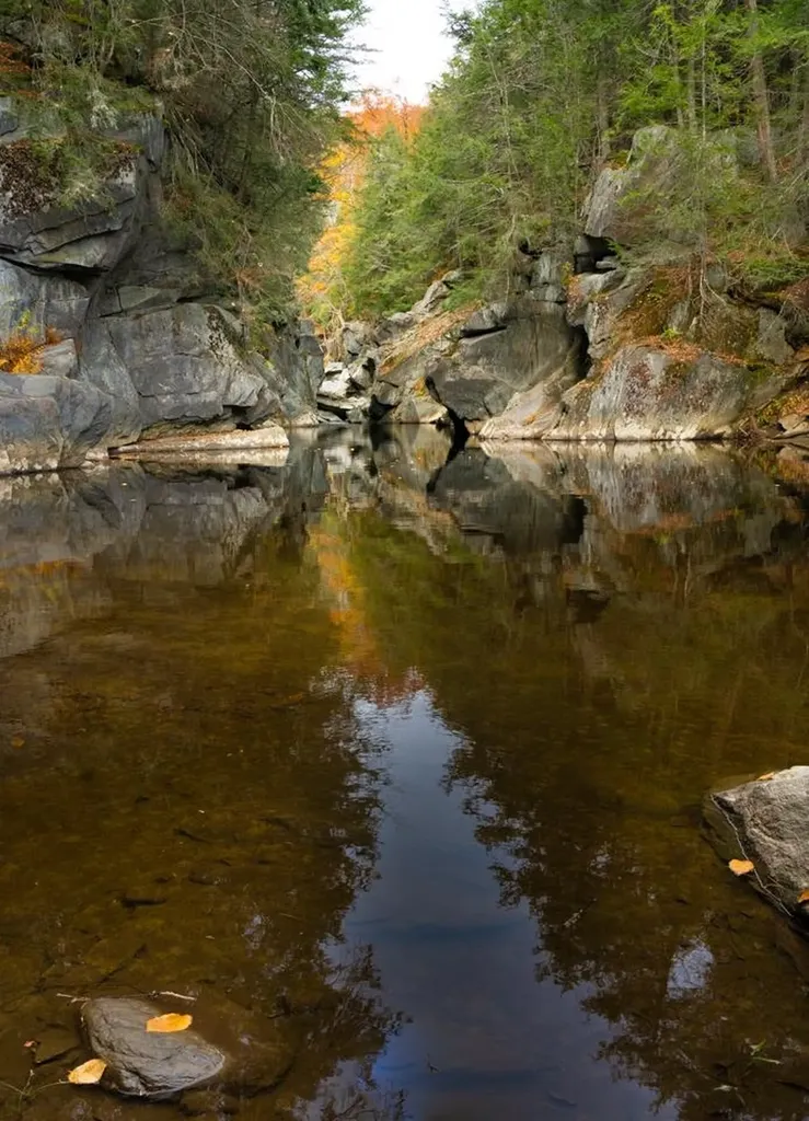 251 Phillips Hill Road Halifax VT 05358