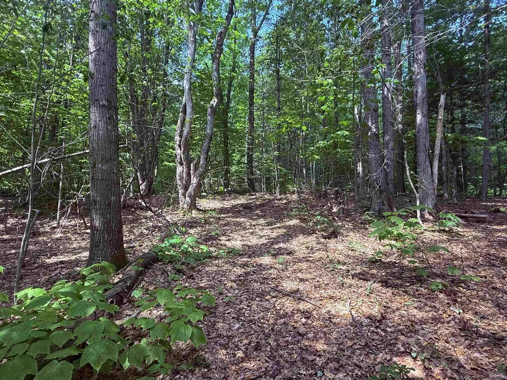 251 Phillips Hill Road Halifax VT 05358