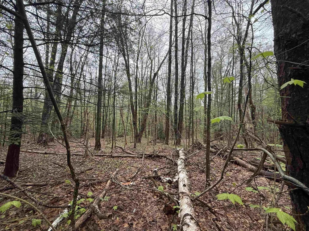 251 Phillips Hill Road Halifax VT 05358