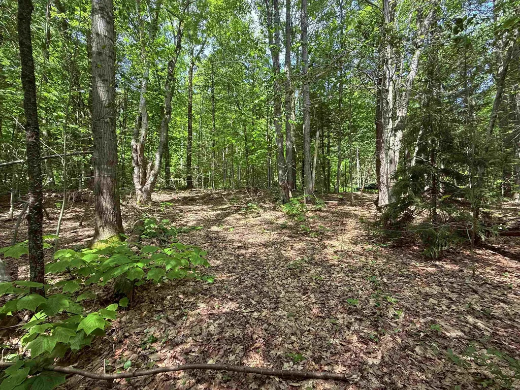 251 Phillips Hill Road Halifax VT 05358