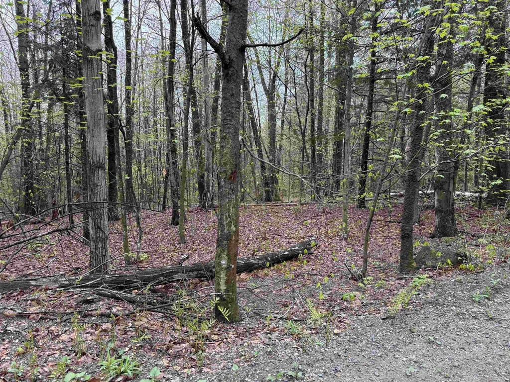 251 Phillips Hill Road Halifax VT 05358