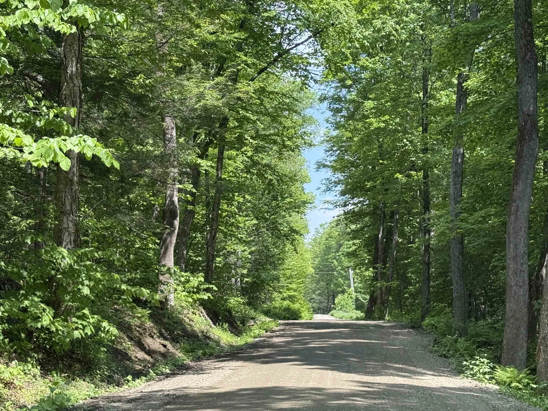 251 Phillips Hill Road Halifax VT 05358