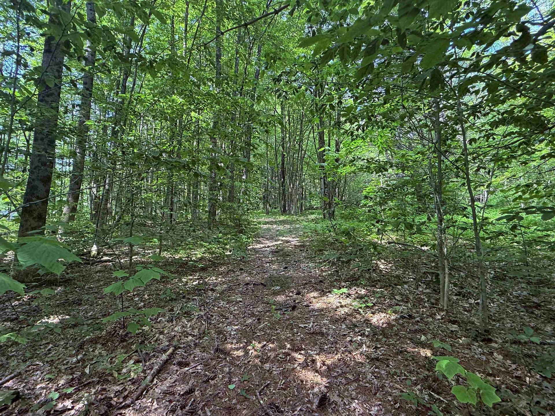 251 Phillips Hill Road Halifax VT 05358