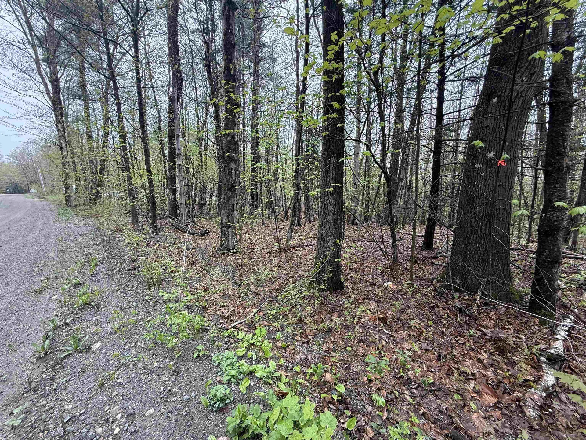 251 Phillips Hill Road Halifax VT 05358