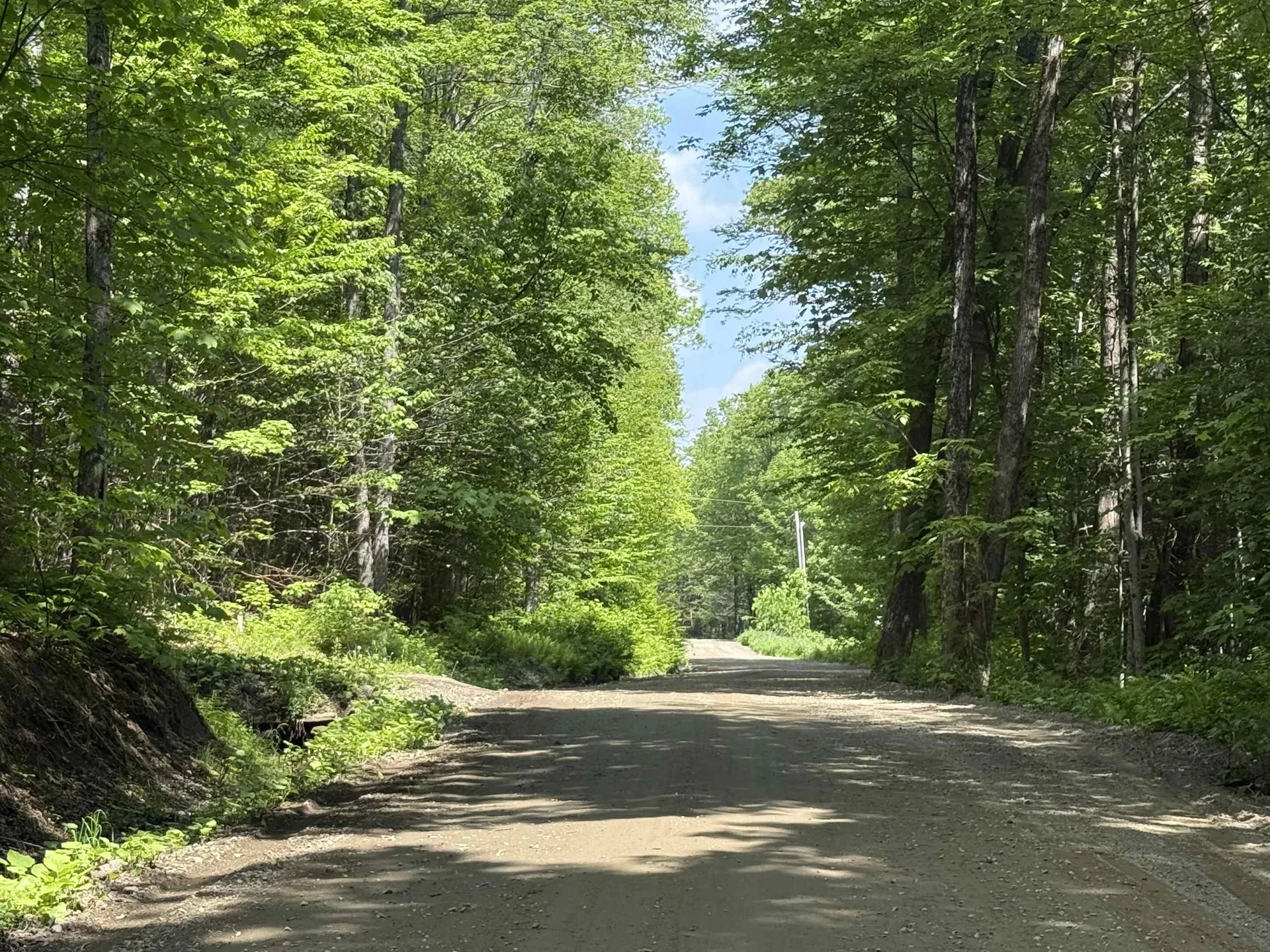 251 Phillips Hill Road Halifax VT 05358