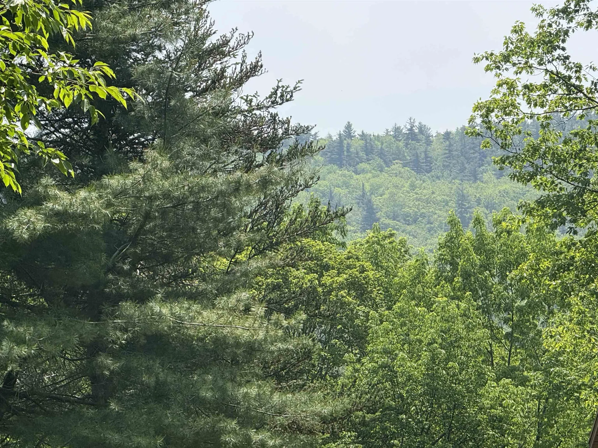 251 Phillips Hill Road Halifax VT 05358