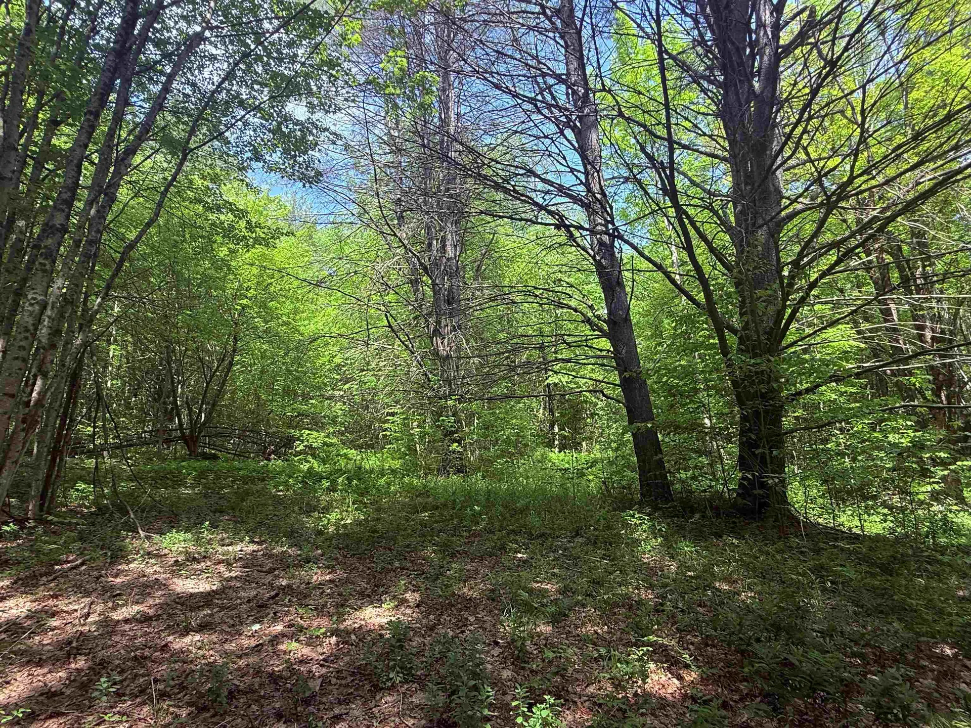 251 Phillips Hill Road Halifax VT 05358