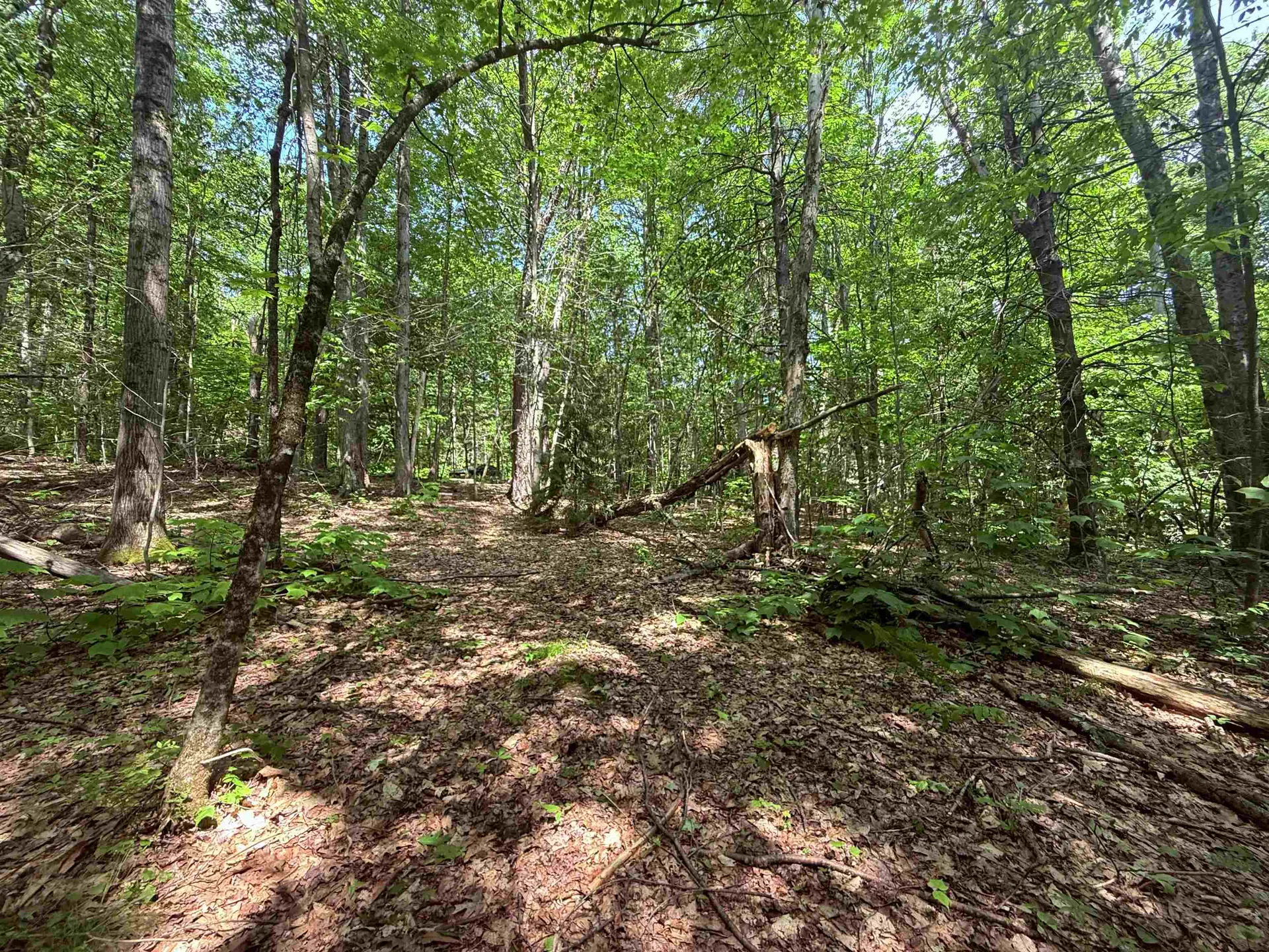 251 Phillips Hill Road Halifax VT 05358