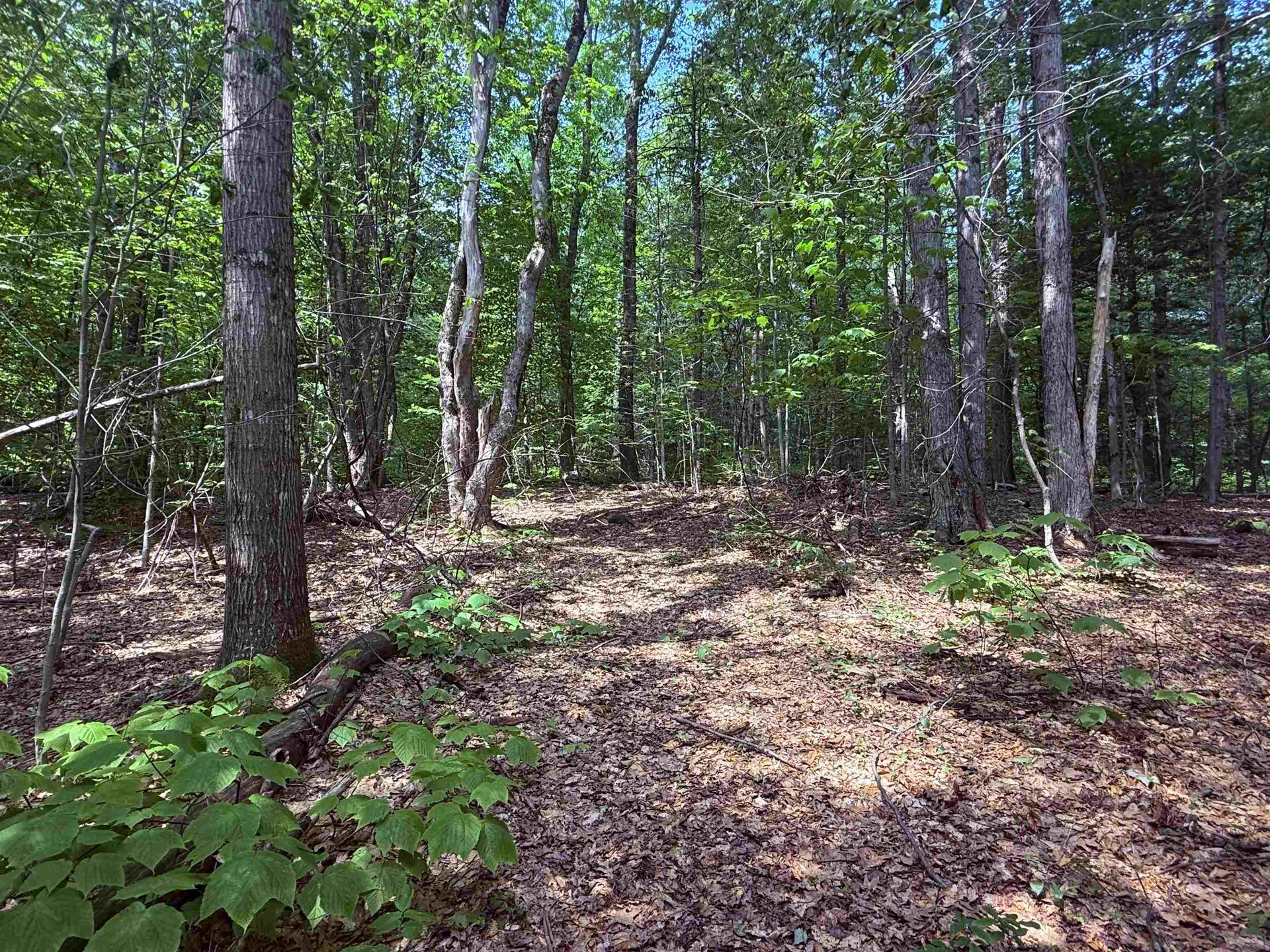 251 Phillips Hill Road Halifax VT 05358