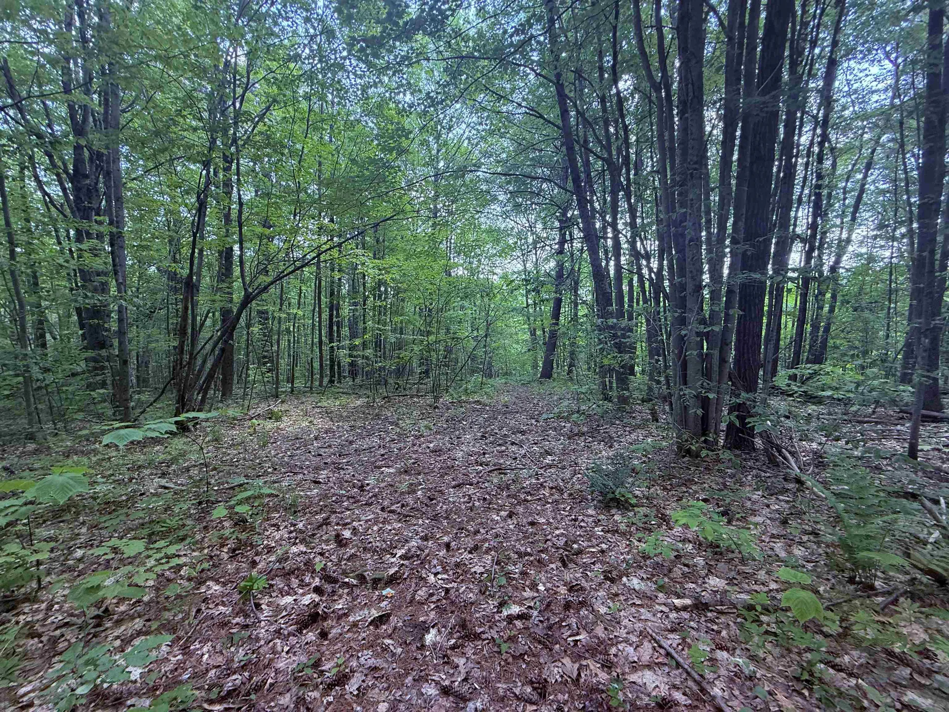 251 Phillips Hill Road Halifax VT 05358