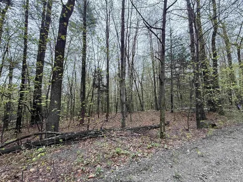 251 Phillips Hill Road Halifax VT 05358