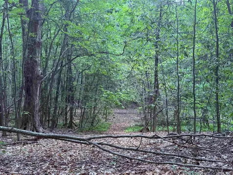 251 Phillips Hill Road Halifax VT 05358