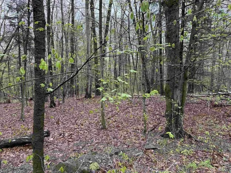 251 Phillips Hill Road Halifax VT 05358