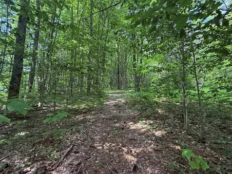 251 Phillips Hill Road Halifax VT 05358