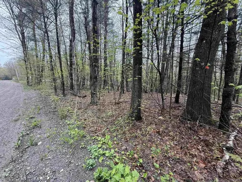 251 Phillips Hill Road Halifax VT 05358