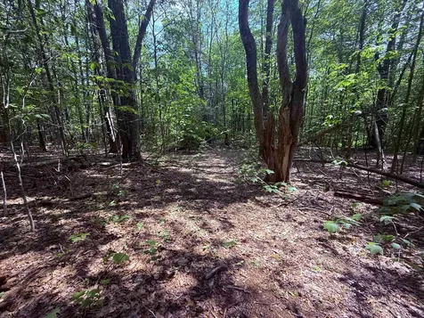 251 Phillips Hill Road Halifax VT 05358