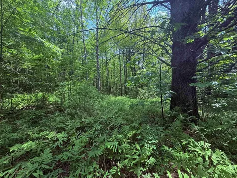 251 Phillips Hill Road Halifax VT 05358