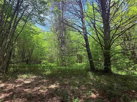 251 Phillips Hill Road Halifax VT 05358