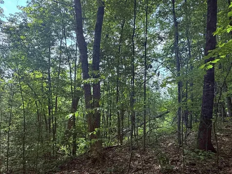 251 Phillips Hill Road Halifax VT 05358