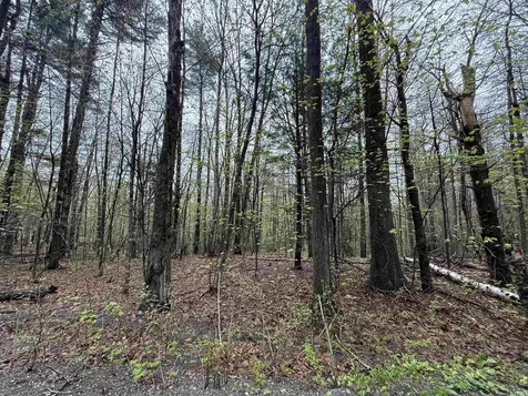 251 Phillips Hill Road Halifax VT 05358