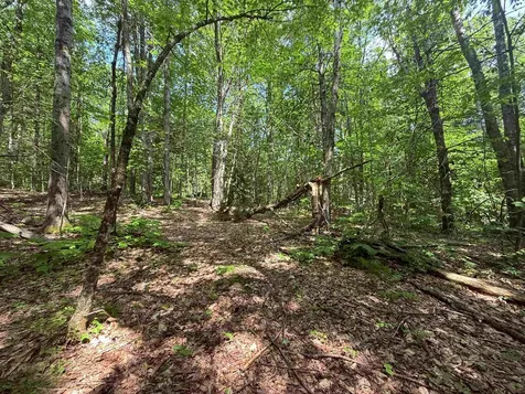 251 Phillips Hill Road Halifax VT 05358