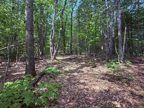 251 Phillips Hill Road Halifax VT 05358