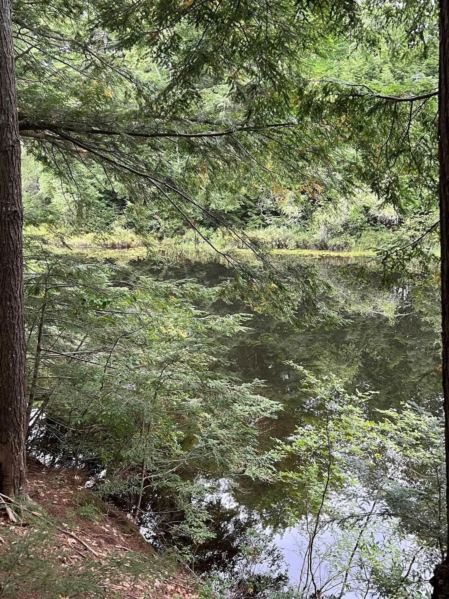 14 Little Loop Road Madison NH 03849