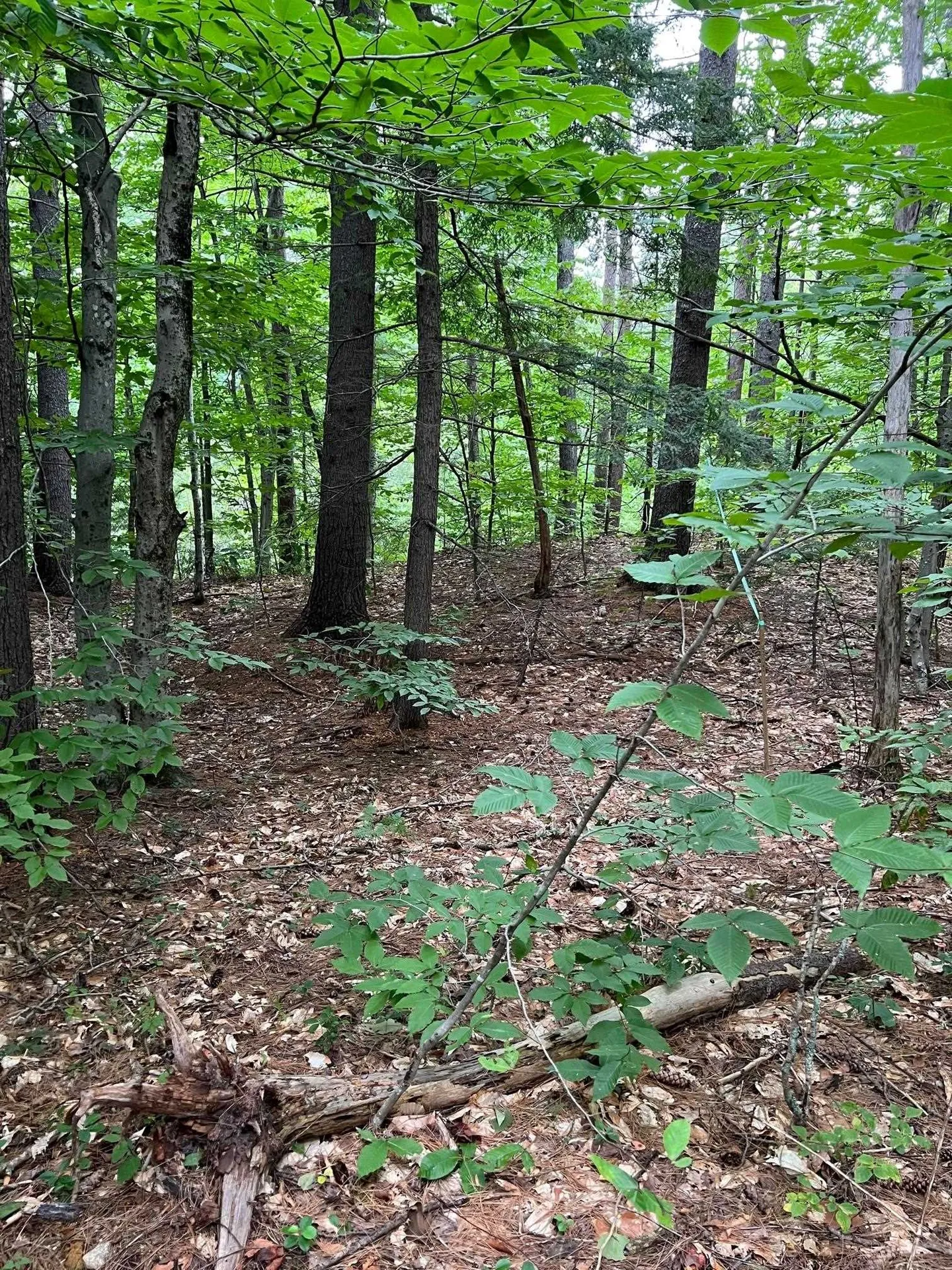 14 Little Loop Road Madison NH 03849