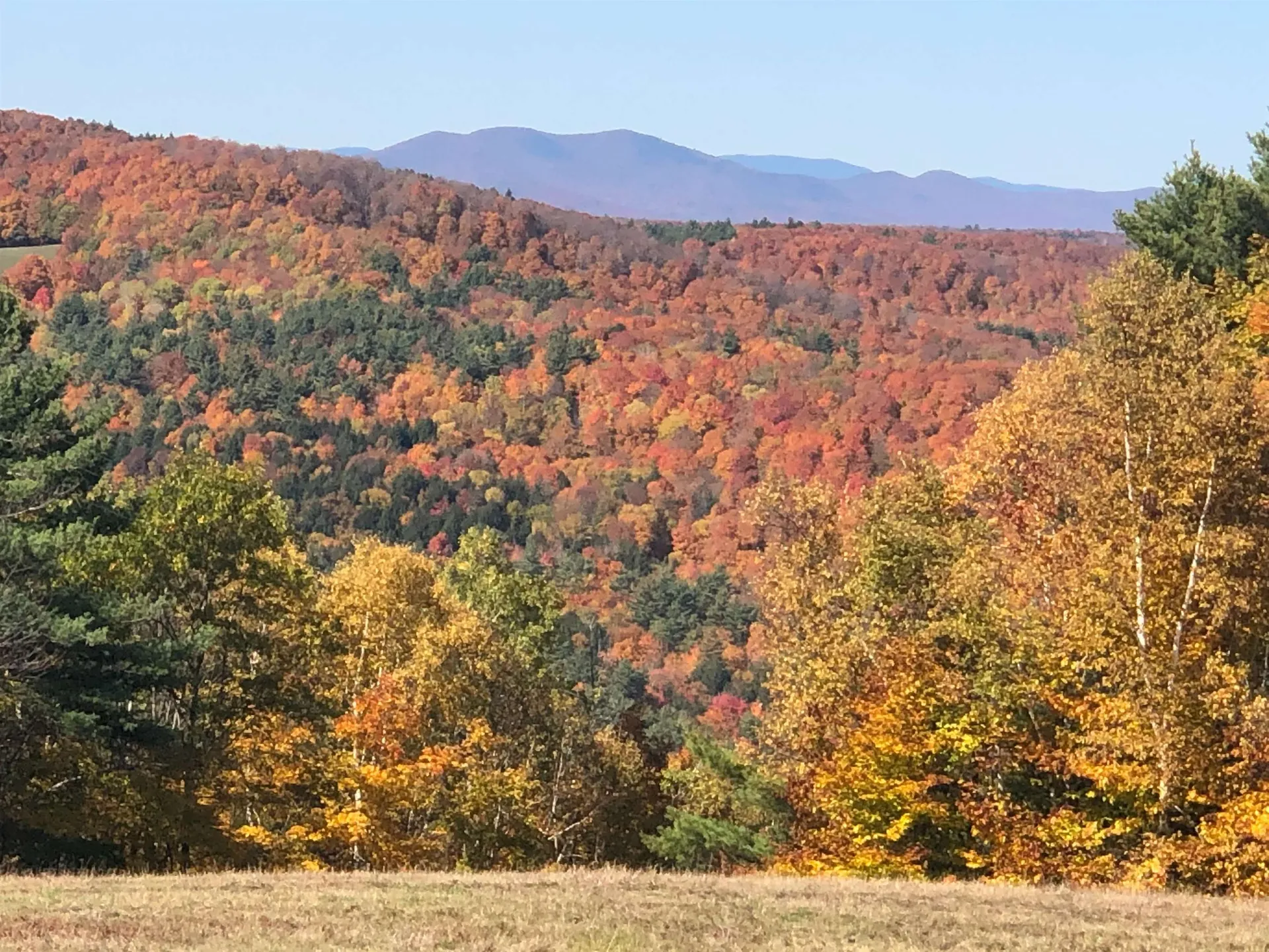 109 Windy Lane Pomfret VT 05067