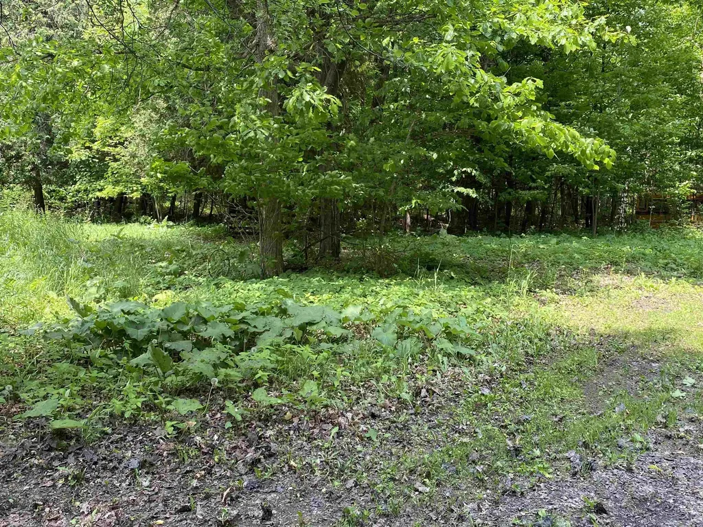 208 Little Woods Road Alburgh VT 05440