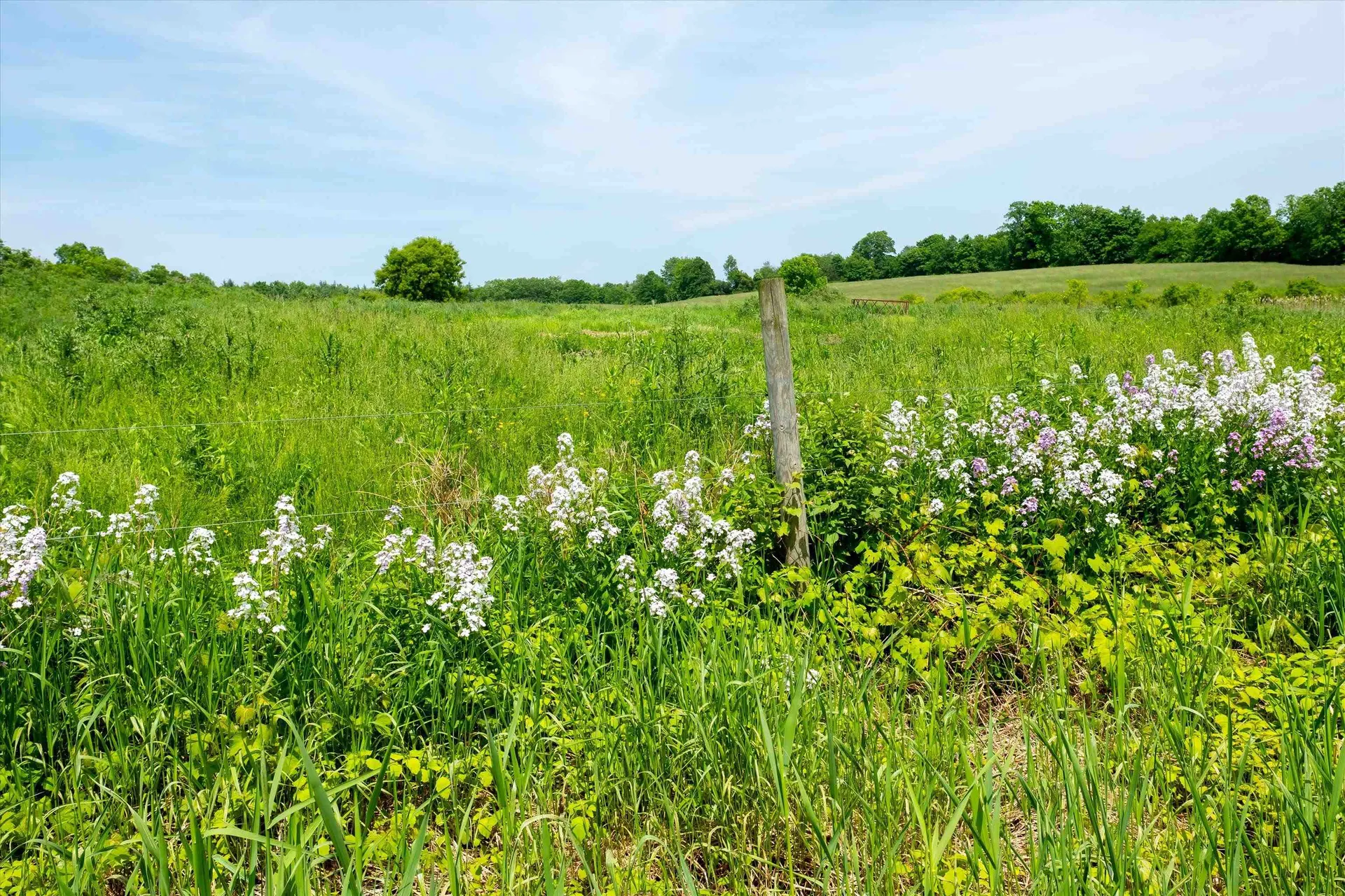 816 Goodrich Cross Road Benson VT 05743