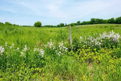 816 Goodrich Cross Road Benson VT 05743