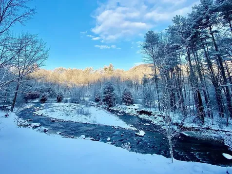 408 Dover Road Newfane VT 05351