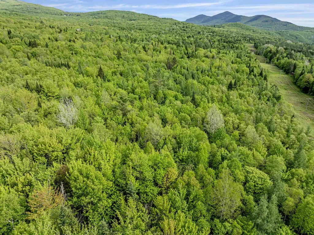 Lot 8 Off Us Route 3 Columbia NH 03576