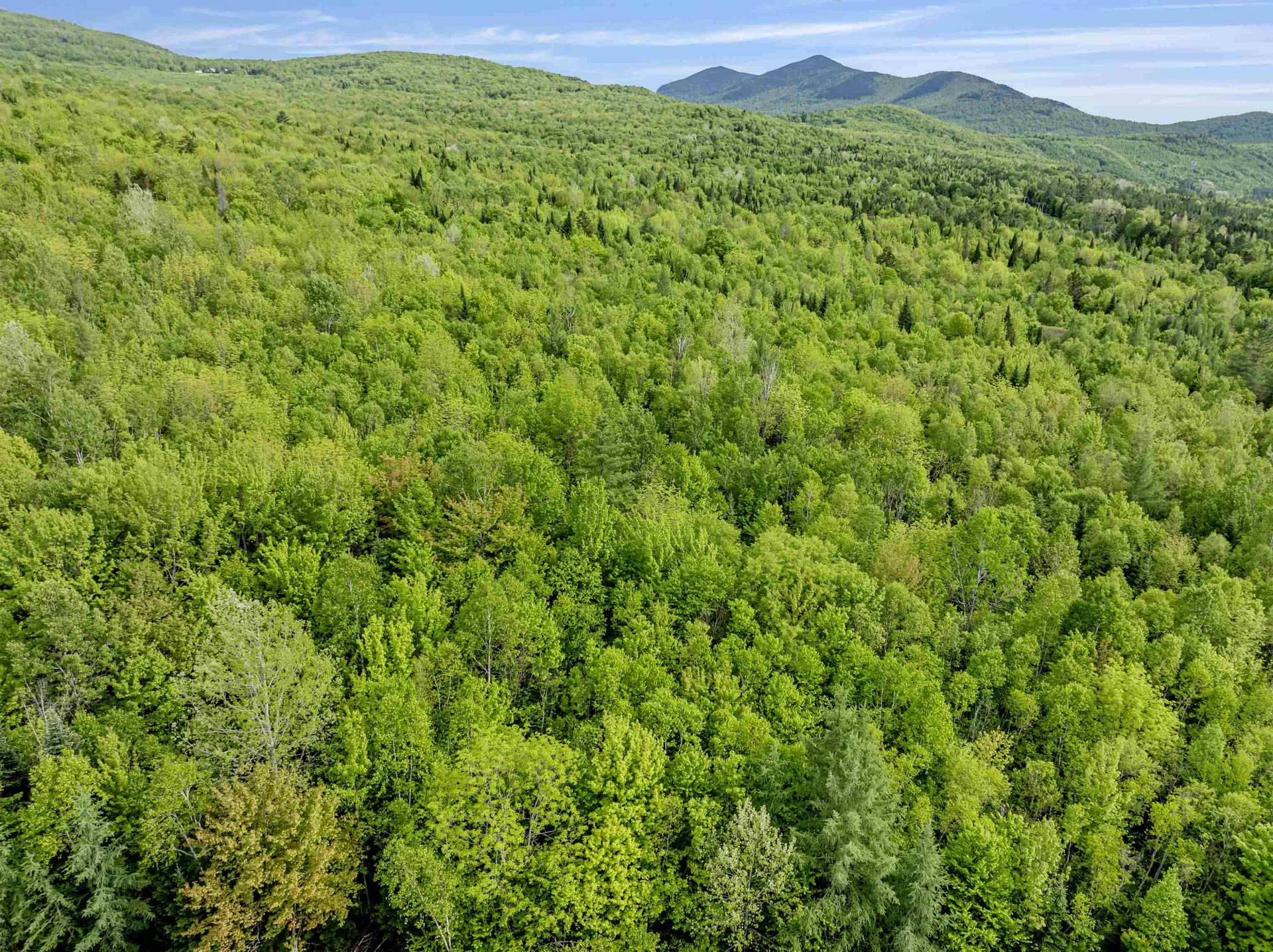 Lot 9 Off Us Route 3 Columbia NH 03576