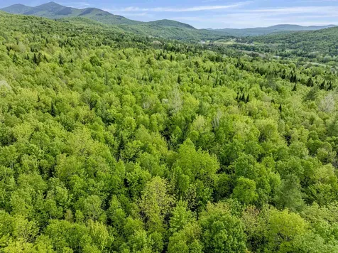 Lot 9 Off Us Route 3 Columbia NH 03576